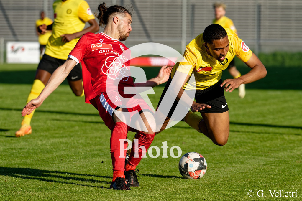 DSC_2811 | Velletri Photo