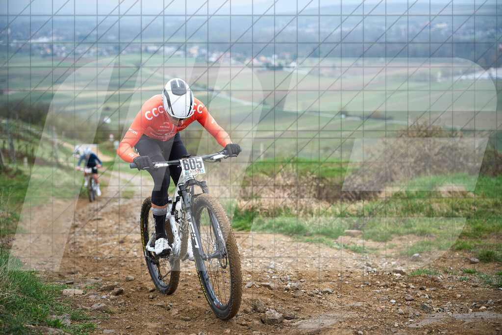 34. KTM Kamptal Trophy  | ZÖBING, Österreich – 2026-03-29: 34. KTM Kamptal TrophyFoto: © 2026 Martin Bihounek - MB Creative e.U.
