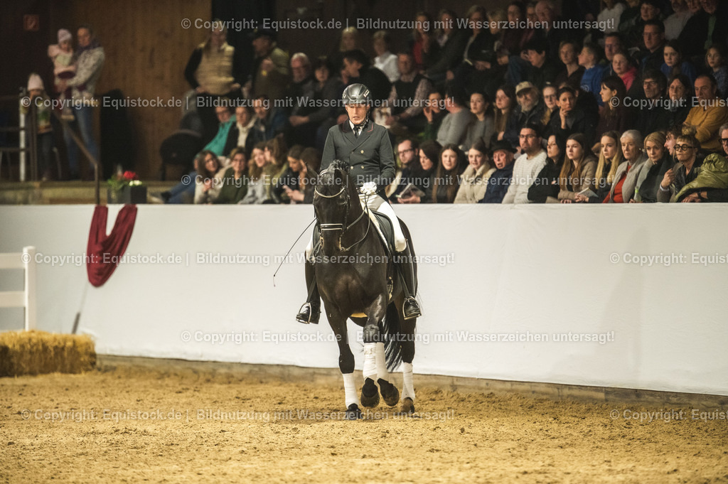 20240302_Hengstvorstellung_Marbach_TOMsPiC_1475-2 | equistock