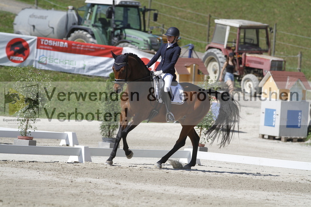 _MG_0461 | equestrian-live-com