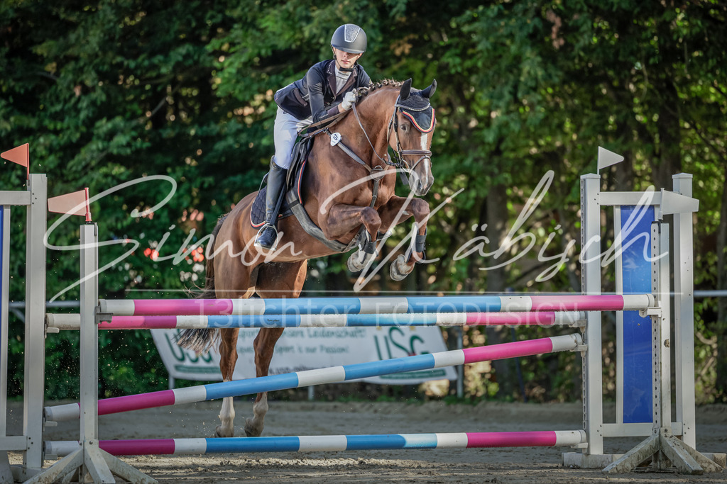 20250906-_3LI3176 | Tierfotografie Pferde, Hunde, Katzen, Haustiere.
Turnierfotografie Reitturniere, Reiten, Springreiten, Dressur in Hanau, dem Main-Kinzig-Kreis und dem Rhein-Main- Gebiet um Frankfurt