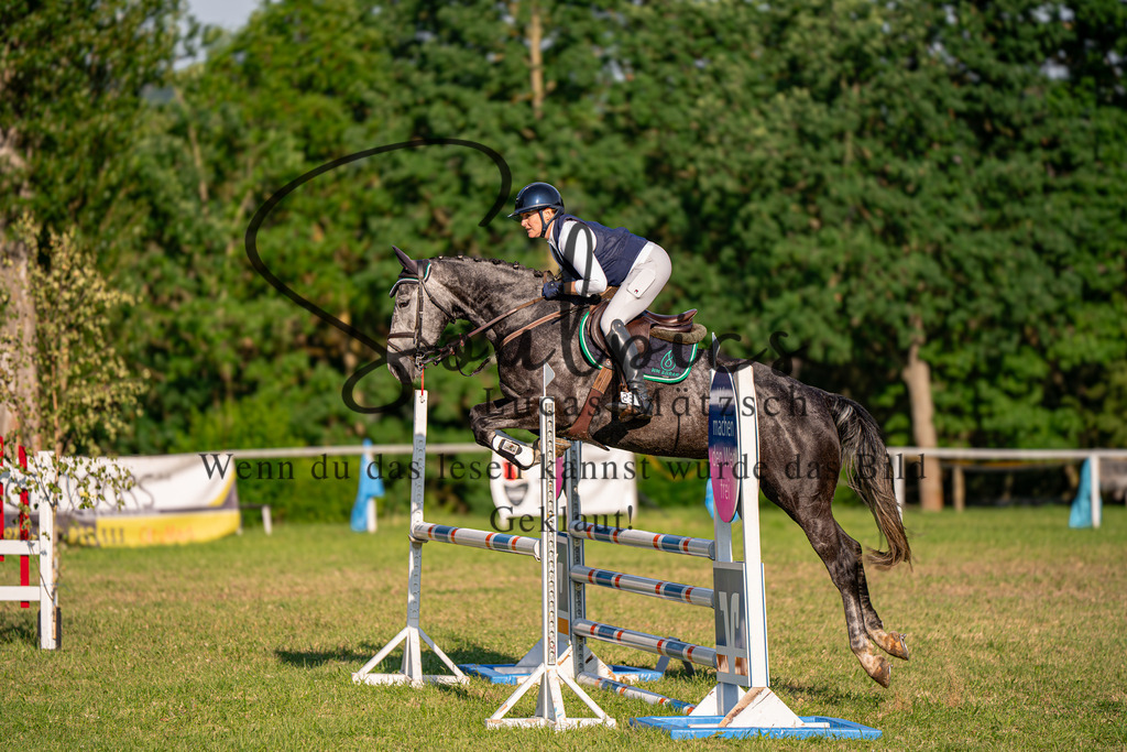 A7501391 | Turnier/Reitfotograf