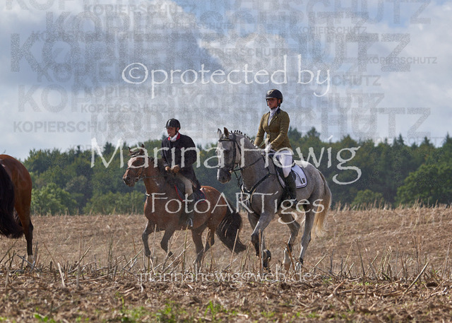 _MCH8050_Marina Hewig | Fotografie, FotoArt, PferdesportArt, Pferdesportfotografie, Landschaftsfotografie, Reisefotografie, Reise, Pferde - Realisiert mit Pictrs.com