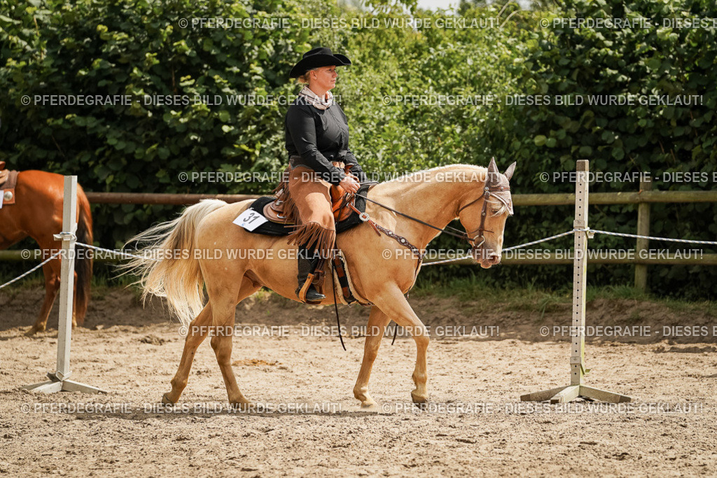 DSC00385 | Pferdegrafie