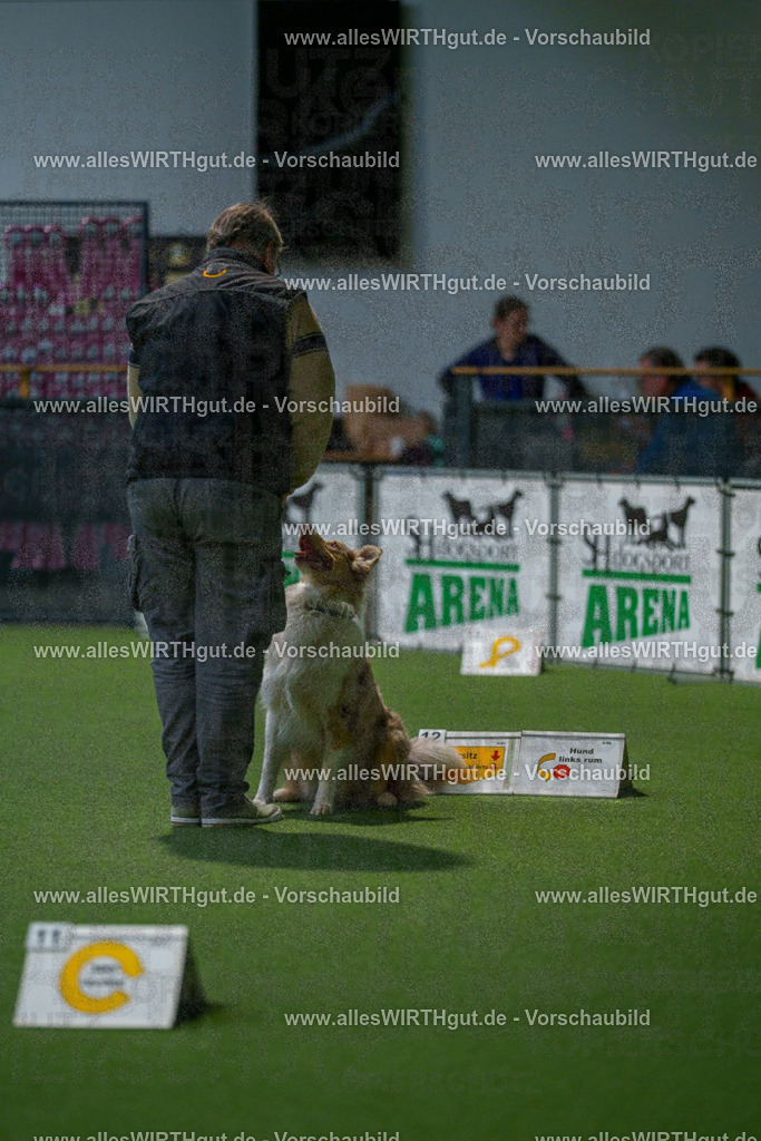 7R505087 | Professionelle Tierfotografie in Mönchengladbach von Daniel Wirth (allesWIRTHgut). Liebevolle & natürliche Bilder von Hunden & Katzen für unvergessliche Erinnerungen.
