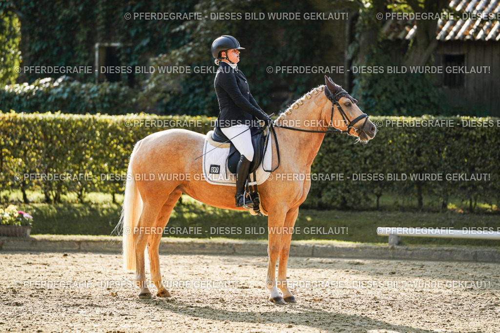 DSC05830 | Pferdegrafie