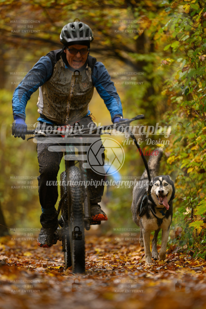 MompixPhotography_CD7S_DI_Bike-64 | mompixphotography