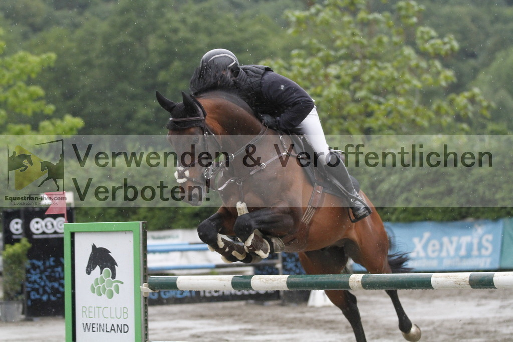 _MG_2775 | equestrian-live-com