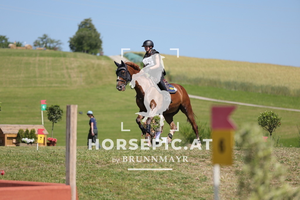 0P6A5400 | Willkommen bei Brunnmayr - Design & Fotografie – Ihrem Spezialisten für Reitturniere und Pferdeveranstaltungen in Oberösterreich, Salzburg und Bayern! Seit über 17 Jahren sind wir leidenschaftlich dabei.