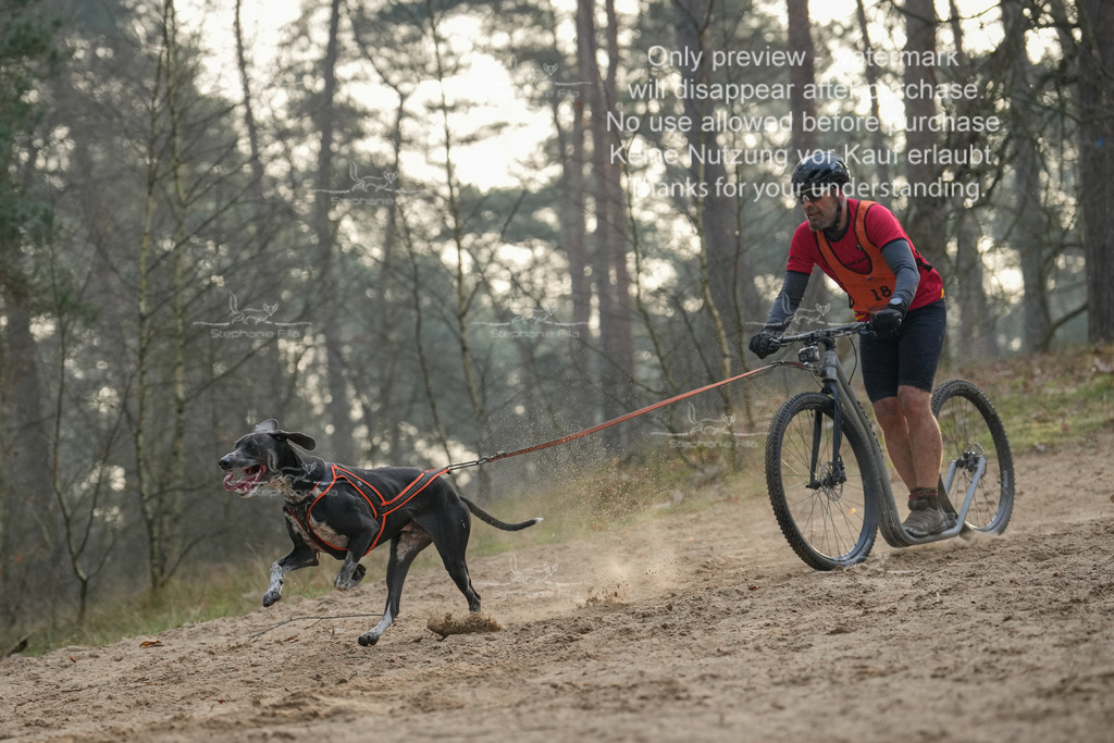 Scooter1-86 | stephaniefillaphotographie - Realisiert mit Pictrs.com