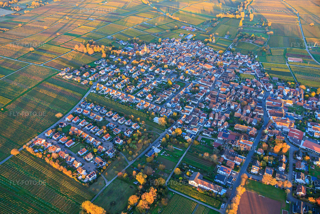 Luftbild: Ortsansicht zwischen herbtlich gefärbten Weinbergen von Südwesten im Abendlicht im Ortsteil Nußdorf in Landau im Bundesland Rheinland-Pfalz in Deutschland. Foto: IMG_151097.jpg vom 05.11.2025 durch Werner Riehm/FLY-FOTO.de