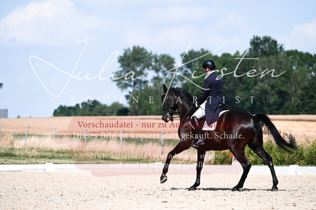 DSC_3024 | Pferde- und Turnierfotografie in Westsachsen. Pferdeportraits, Auftragszeichnungen und intuitive Kunst.