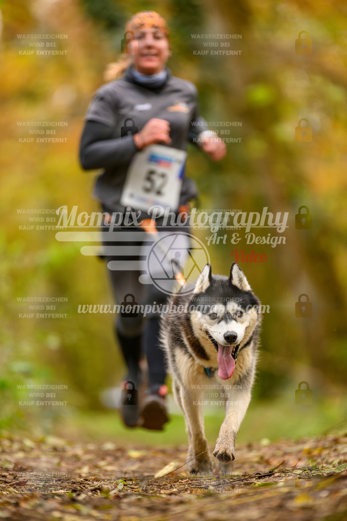 MompixPhotography_Bischwiller24_SA_Canicross-51 | mompixphotography