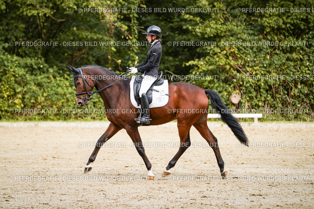 DSC09148 | Pferdegrafie