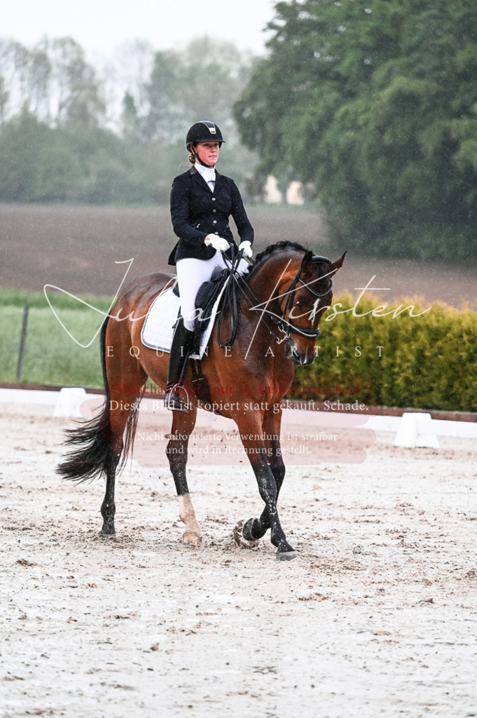 DSC_4600 | Pferde- und Turnierfotografie in Westsachsen. Pferdeportraits, Auftragszeichnungen und intuitive Kunst.