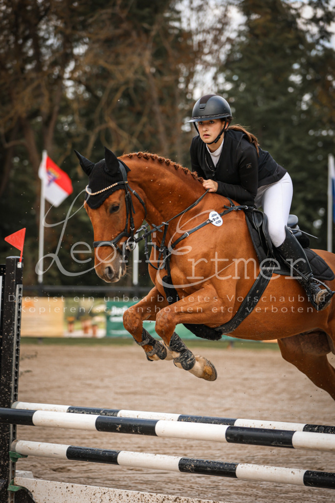 11_1.SaSpA00008 | Leoni Ertmer Photography - Realisiert mit Pictrs.com