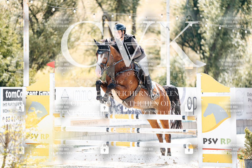 CK908349 | Turnierfotografie Pferdefotografie Trier Rheinland-Pfalz Pferdesport Reitsport Tierfotografie Sportfotografie Pferdevideo Pferdevideografie Equestrianvideography equestrianphotography  - Realisiert mit Pictrs.com