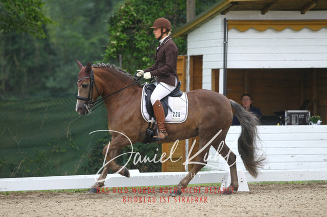 DKP40098 | Turniersportfotografie; Pferdefotografie; Dressurfotografie