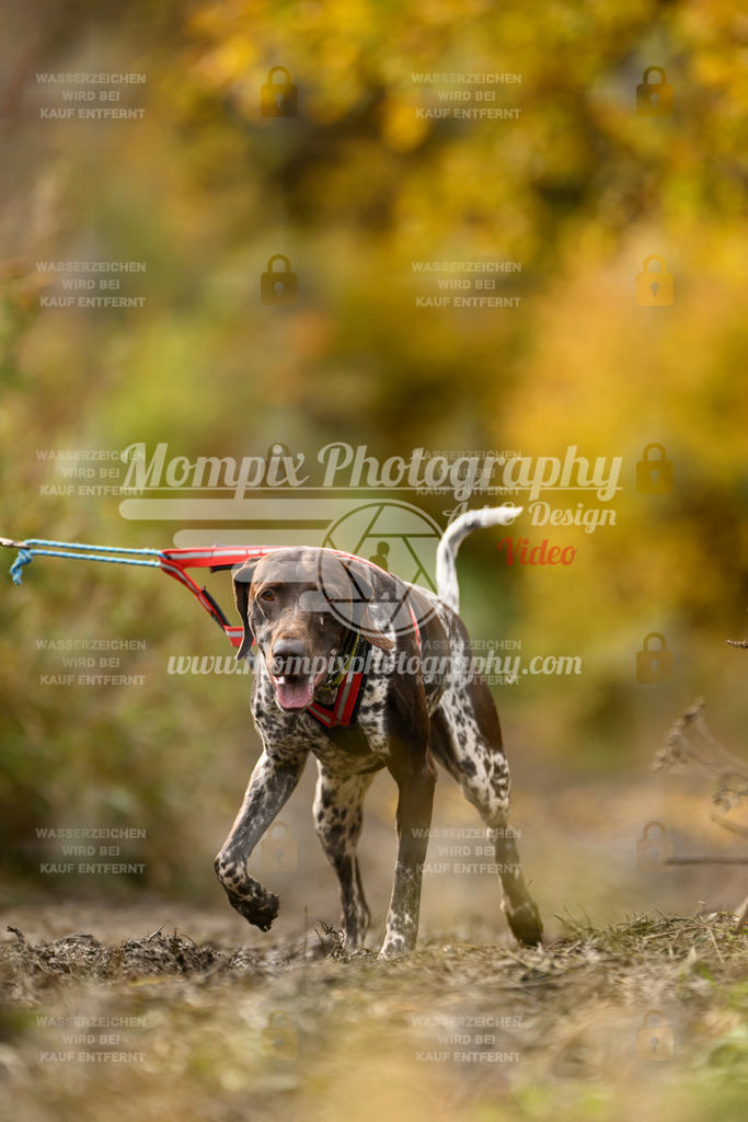 MompixPhotography_ICF_WC_2024_SA_Bike_-190 | PayLife