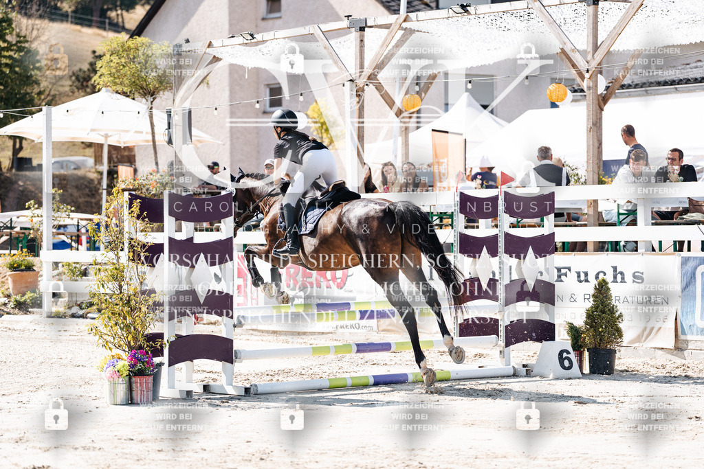 CK904991 | Turnierfotografie Pferdefotografie Trier Rheinland-Pfalz Pferdesport Reitsport Tierfotografie Sportfotografie Pferdevideo Pferdevideografie Equestrianvideography equestrianphotography  - Realisiert mit Pictrs.com