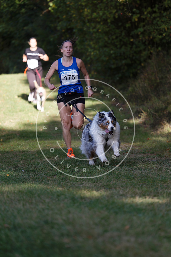 0L8A5582 | Hundefotografie, Tierfotograf, Pfotenfotografie, Fotoshooting Hund, Hunde Portrait, Hundesport, Hundeportraits, Heideshooting, Hunde, Sportfotograf, Hundefotograf, Turnierhundsport, THS,  - Realisiert mit Pictrs.com