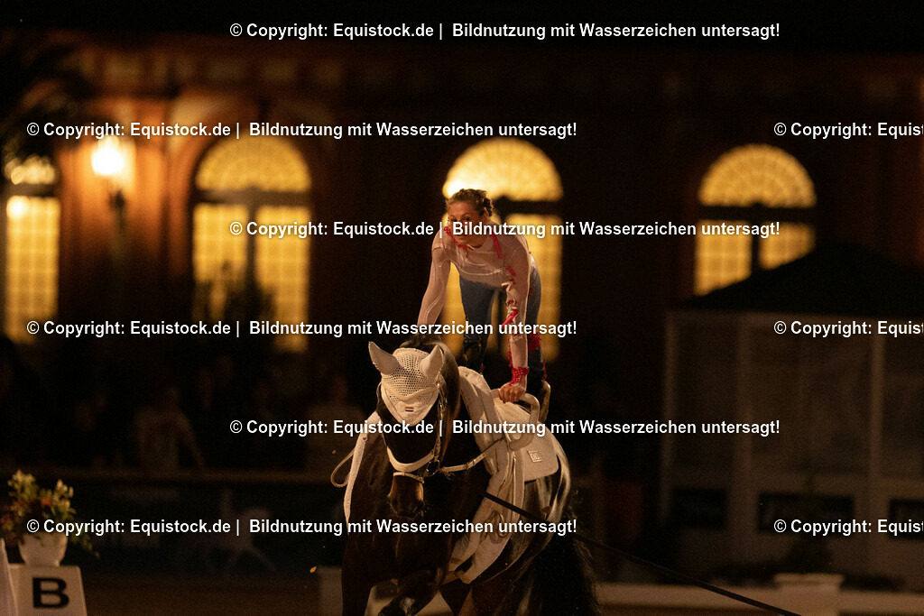 20230527_Voltigieren_NASPA_Flutlicht_0913 | equistock