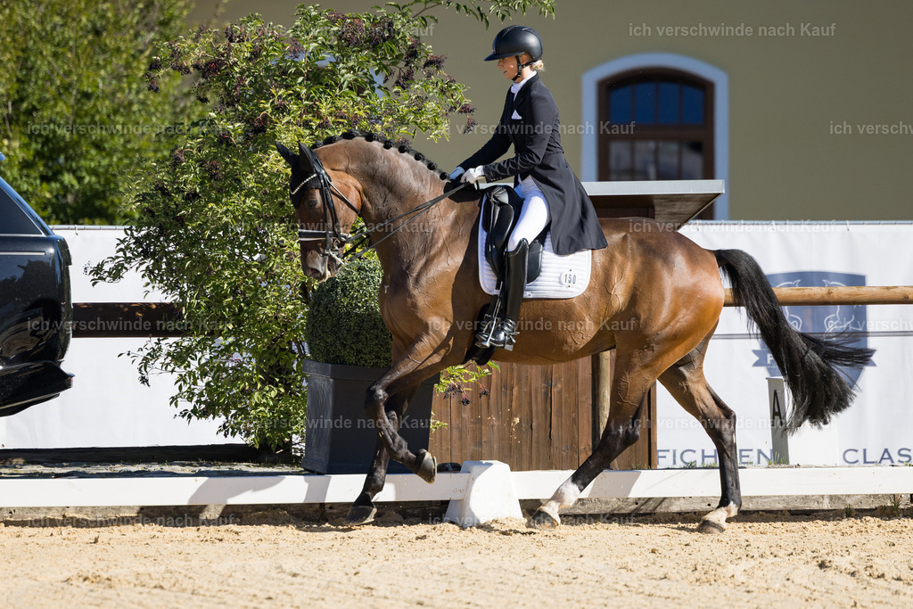 FHC2026_P07_150_17287 | working equitationturnier fotograf videograf stoibphotography marixx film working equitation deutschland reitsport turnierfotografie eventfotografie equestrian events