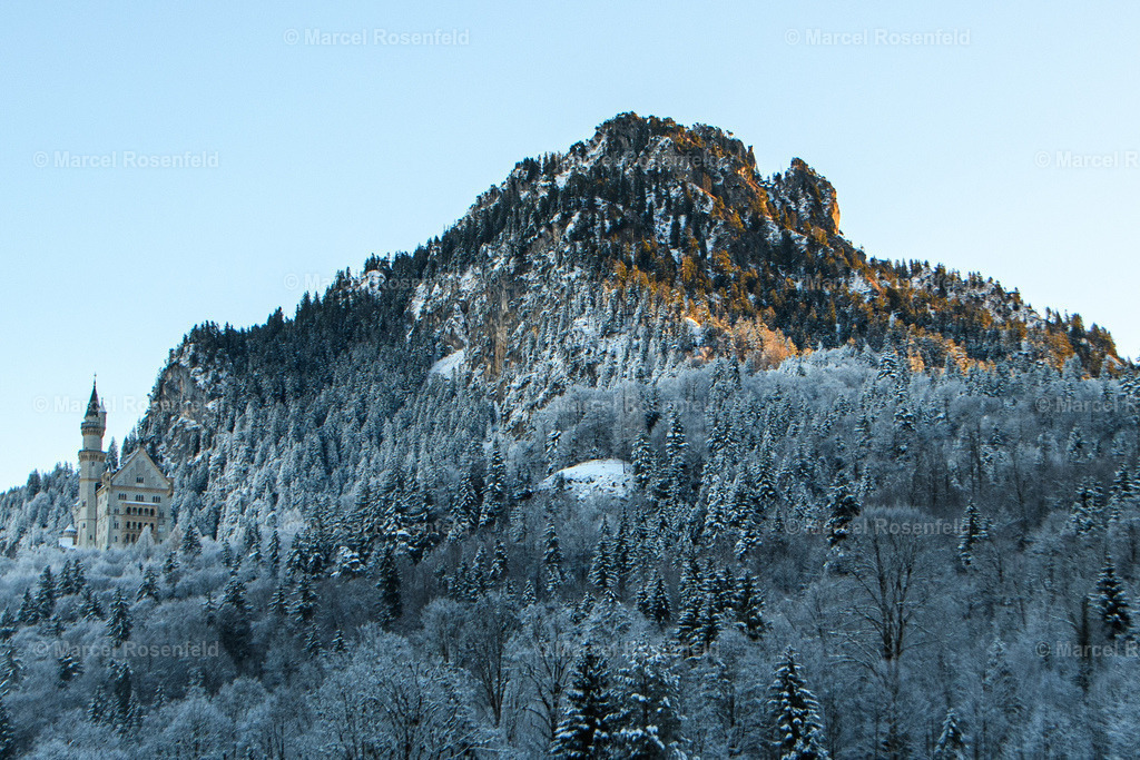 _DSC4530 | foto-rosenfeld