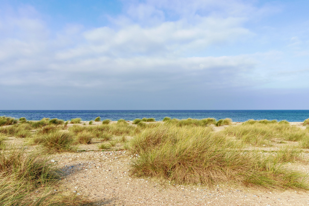 Wandbild: Naturstrand auf Fehmarn | Dieses Wandbild zeigt einen Naturstrand auf Fehmarn in der Nähe des Niobe Denkmals. Am blauen Himmel sind Wolken zu sehen. - Realisiert mit Pictrs.com