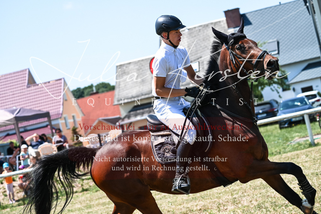 DSC_0374 | Pferde- und Turnierfotografie in Westsachsen. Pferdeportraits, Auftragszeichnungen und intuitive Kunst.