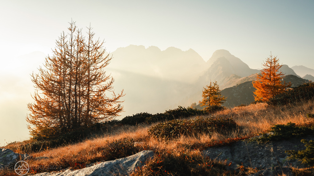 Blick ins Valle di Vergeletto | Gelb verfärbte Lärchen vor dem Sonnenuntergang in den Bergen - Realized with Pictrs.com