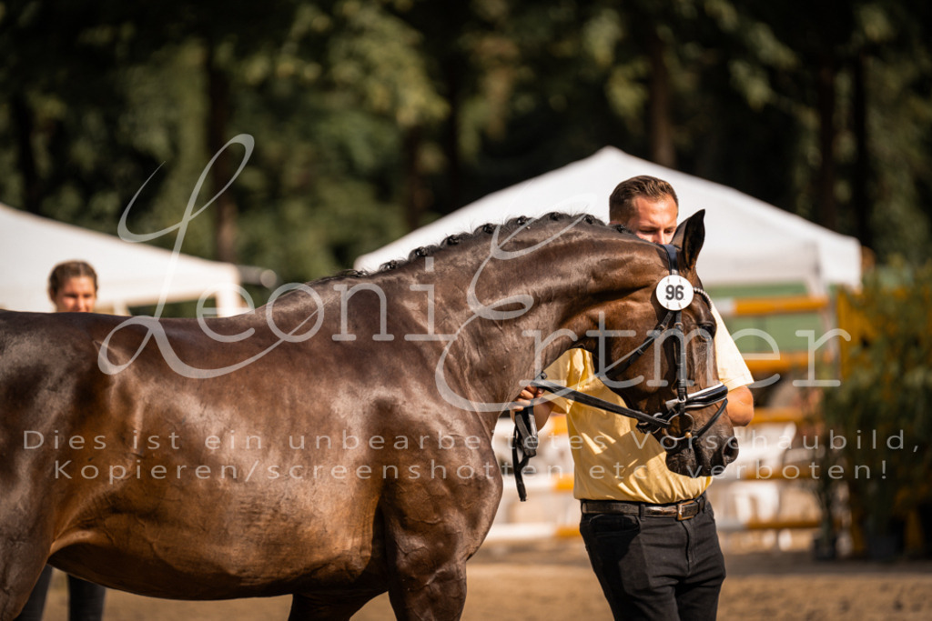 FrER00169 | Leoni Ertmer Photography - Realisiert mit Pictrs.com