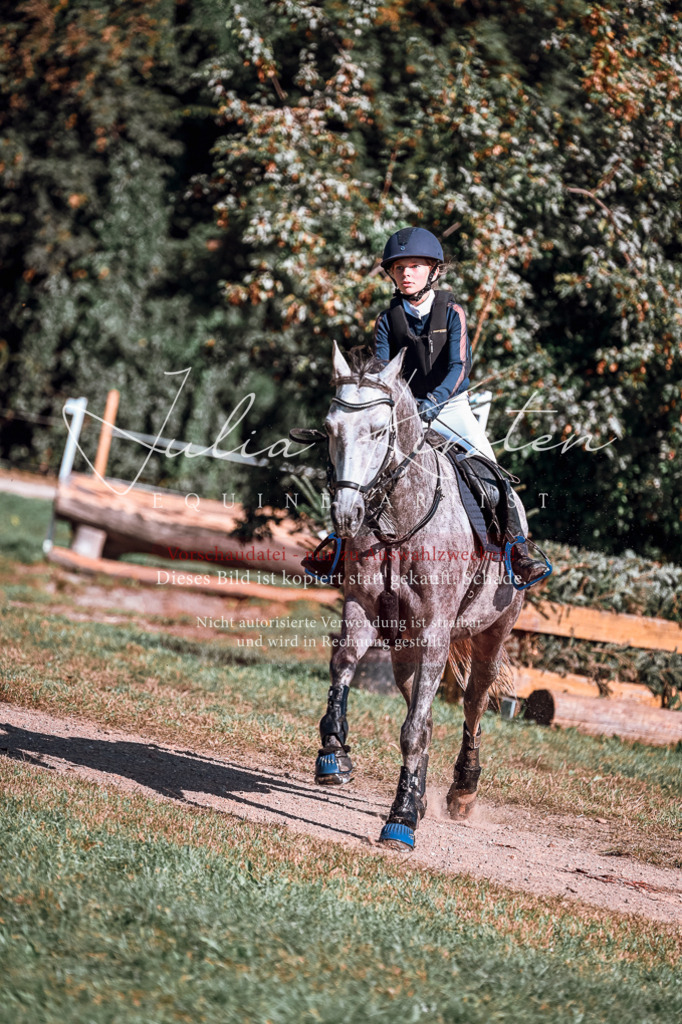 DSC_1170 | Pferde- und Turnierfotografie in Westsachsen. Pferdeportraits, Auftragszeichnungen und intuitive Kunst.