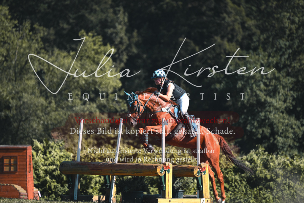 DSC_8718 | Pferde- und Turnierfotografie in Westsachsen. Pferdeportraits, Auftragszeichnungen und intuitive Kunst.