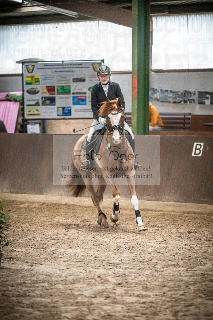 DOS_0185 | Entdecke hochwertige Reitturnierfotos von Foto Oger. Professionell, emotional und authentisch – jetzt Lieblingsmomente im Shop bestellen.Deutschlandweite Turnierfotografie. - Realisiert mit Pictrs.com