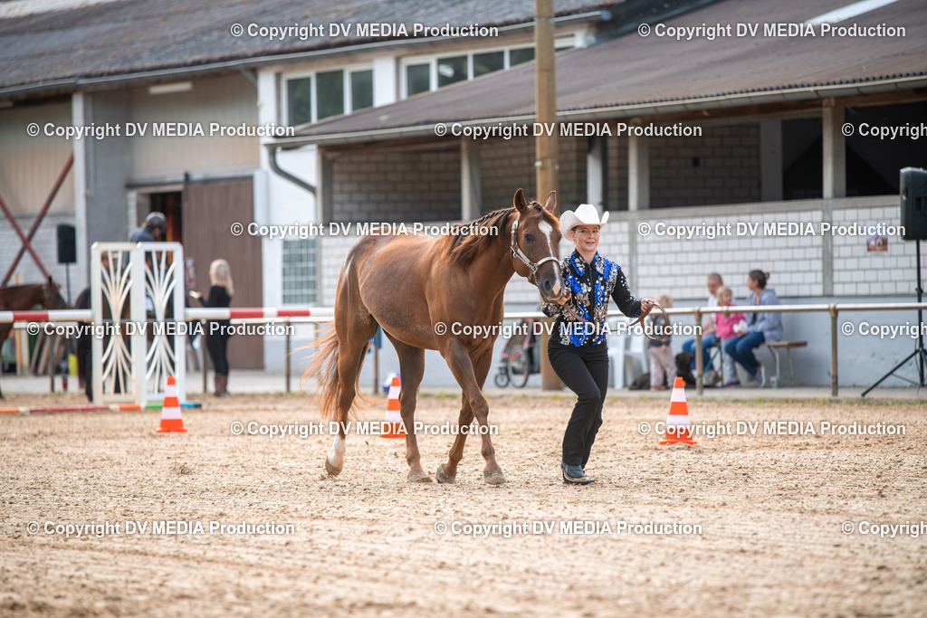 EWP_5567 | dv-media-shop - Realisiert mit Pictrs.com