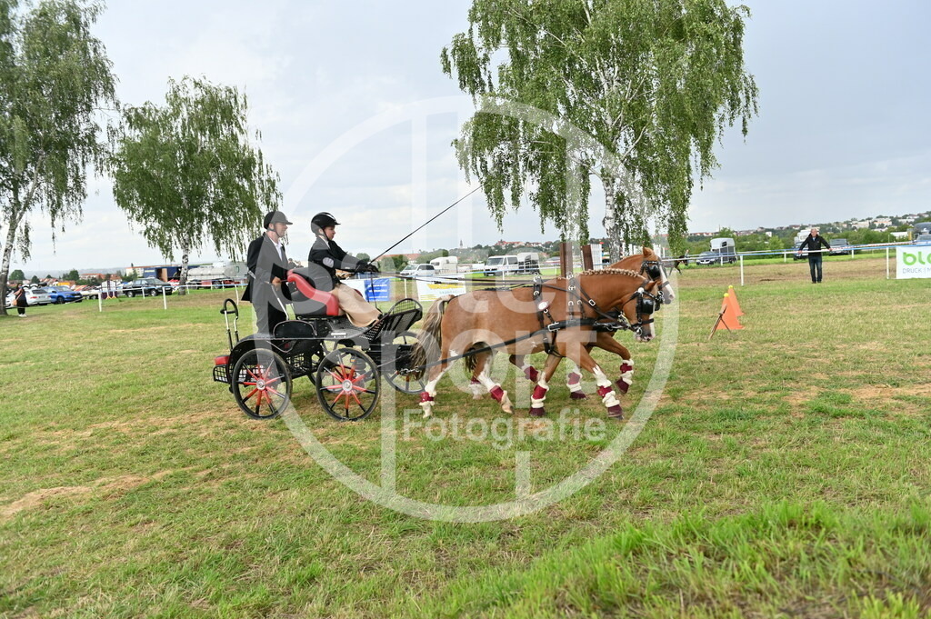 DSC_4527 | sattelsport - Realisiert mit Pictrs.com