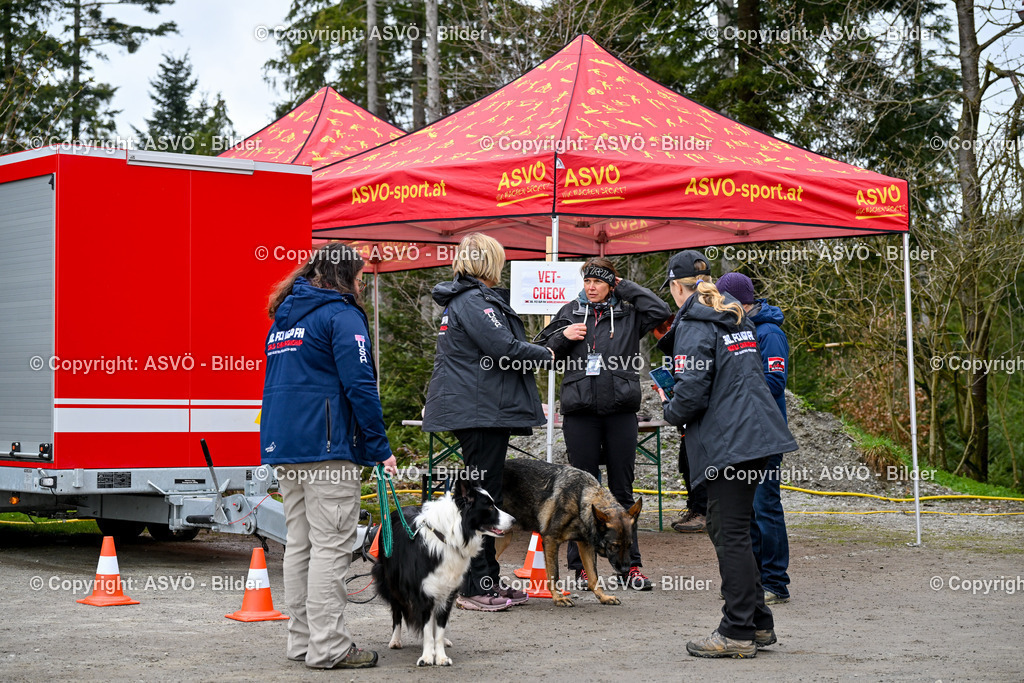 ASVÖ_ Tracking Dog World Championship 2025_ 31.03.2025-37 | 31.03.2025, AUT, ASVÖ, Tracking Dog World Championship // FCI IGP Fährtenhundeweltmeisterschaft 2025©fodo.media / Harald Dostal - Realisiert mit Pictrs.com
