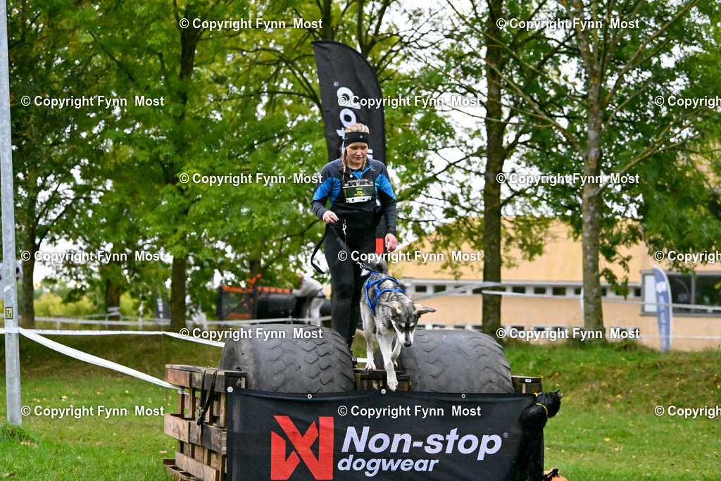 DSC_3694 | Hallo und herzlich Willkommen auf meiner Shop-Seite Fynn Most.

Ich wünsche Dir viel Spaß beim stöbern durch die Bilder, wenn Du Fragen hast oder Bilder vermisst, kannst du mir gerne eine Nachricht schreiben. - Realisiert mit Pictrs.com