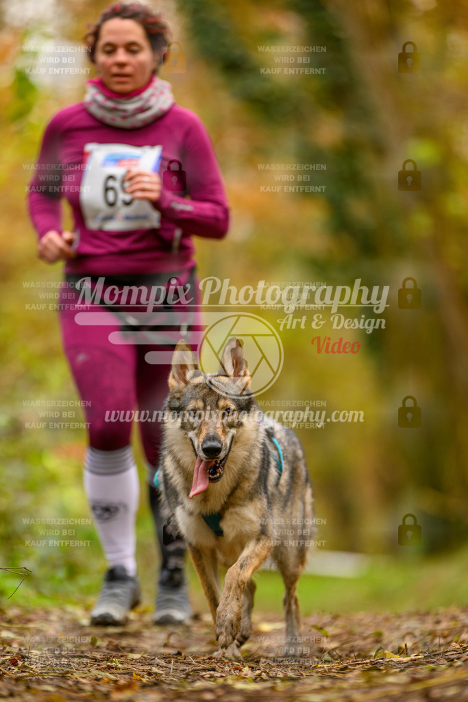 MompixPhotography_Bischwiller24_SA_Canicross-190 | PayLife