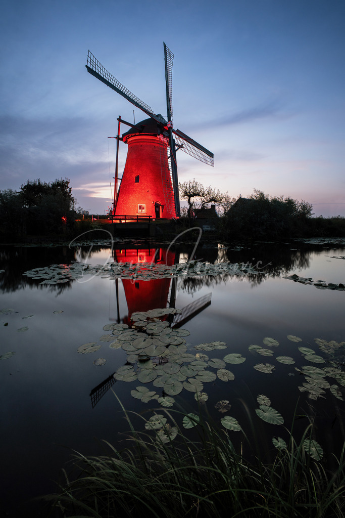 Kinderdijk | Beleuchtete Windmühle in Kinderdijk