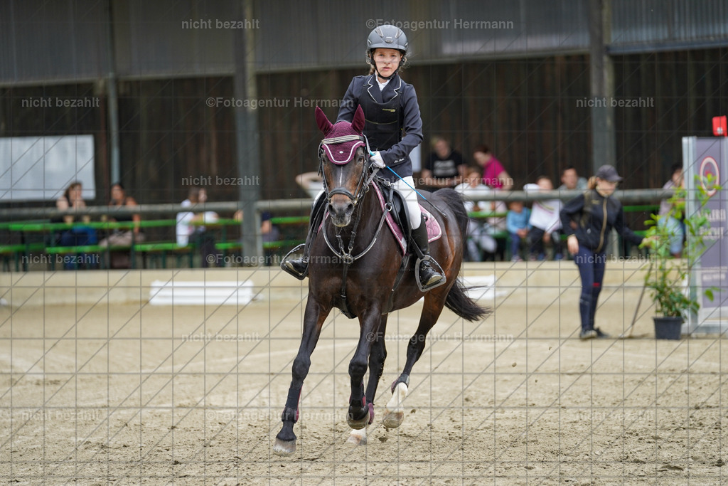 20240630-FAH01185 | Turnierbilder Schwabmünchen, Dressurbilder, Springreitturnier, Reitsportbilder, Turnierfotografen Bayern, Turnierfotograf