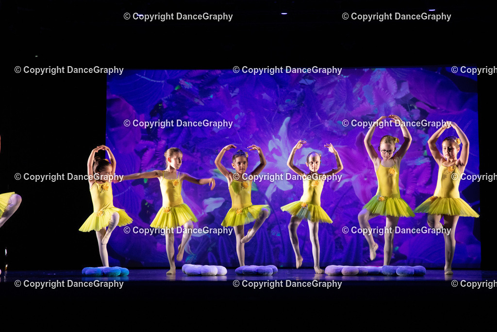 GPHY6250 | DanceGraphy - Realisiert mit Pictrs.com