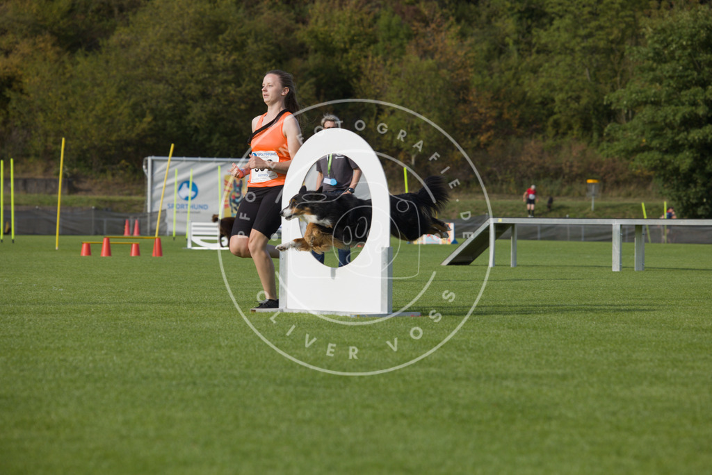 0L8A4012 | Hundefotografie, Tierfotograf, Pfotenfotografie, Fotoshooting Hund, Hunde Portrait, Hundesport, Hundeportraits, Heideshooting, Hunde, Sportfotograf, Hundefotograf, Turnierhundsport, THS,  - Realisiert mit Pictrs.com