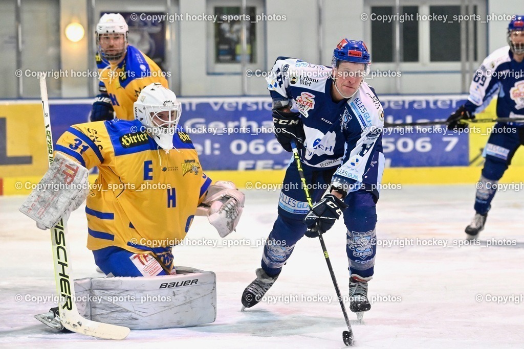 ESC Steindorf vs. EHC Althofen 13.1.2024 | #31 Horn Fabian, #18 Pewal Martin, #65 Lungkofler Gerald