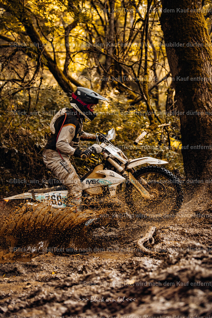 E68A6187 | blick_win_kel