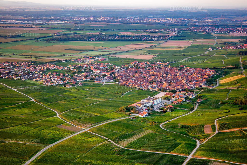 Aerial view: View of the town from the northwest in Dambach-la-Ville in the state Bas-Rhin, France. – Photo: IMG_137946.jpg taken on 08/19/2023 by Werner Riehm/FLY-FOTO.com – Resolution of the original: 5472 x 3648 px