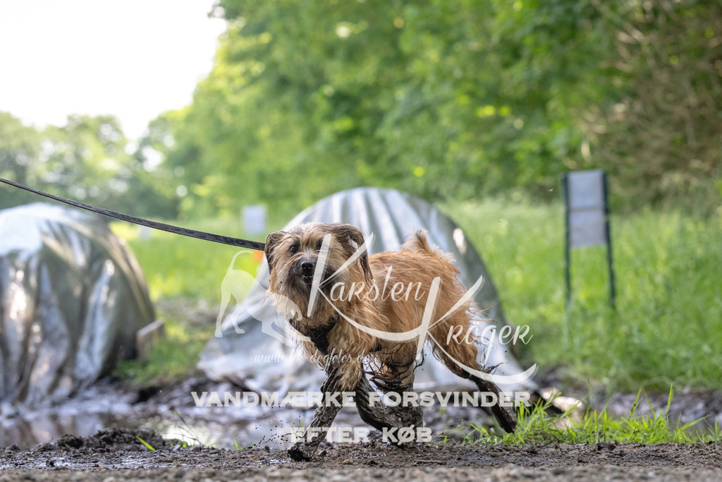 1205_ZZ91297 | kk-dogfotos