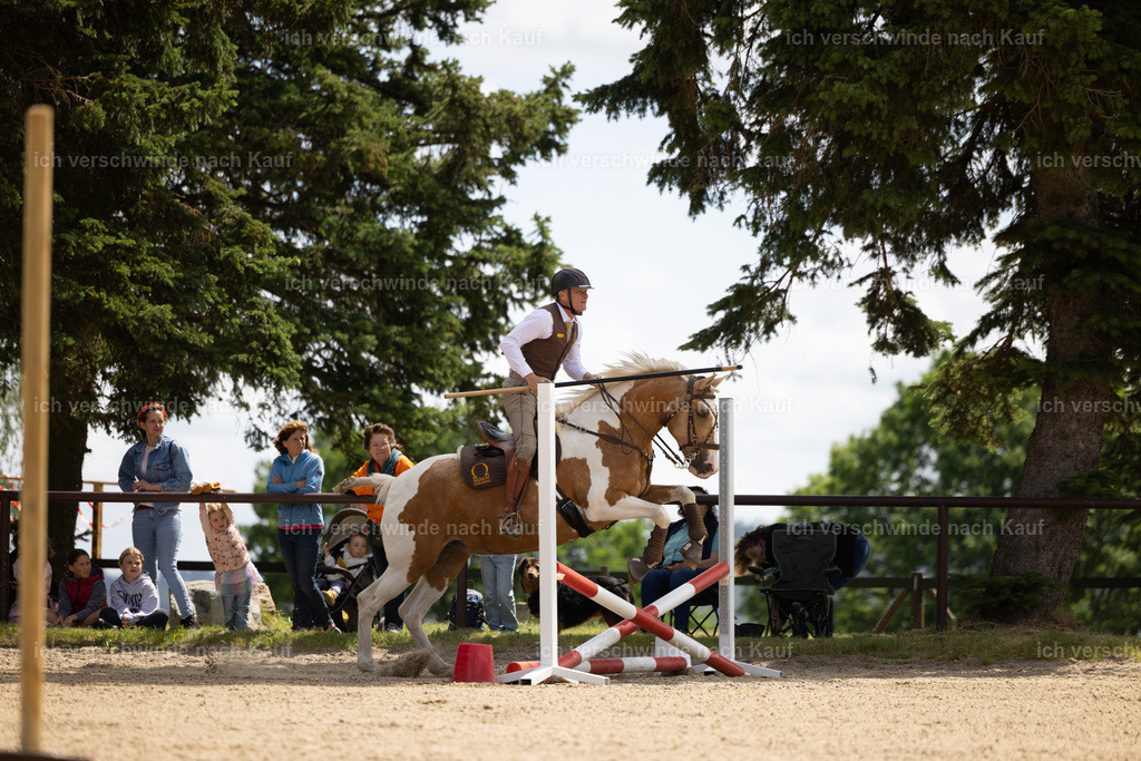 Masterclass_stoibphotography_C2_C7888.CR3 | working equitationturnier fotograf videograf stoibphotography marixx film working equitation deutschland reitsport turnierfotografie eventfotografie equestrian events