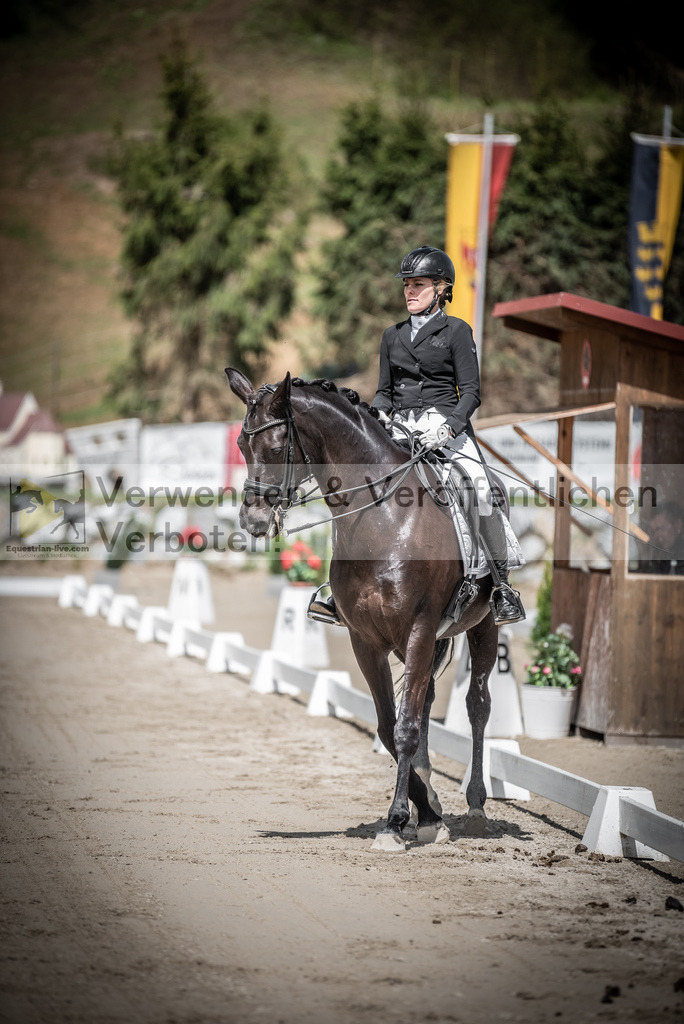 DSC_1685 | equestrian-live-com